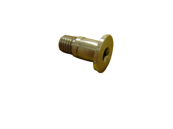 L886 - IG4 PIVOT POINT BOLT SHORT M10-(A05632)-(6690814F75)-(98-965)-(177062)-(945922)-(DEV-00170)